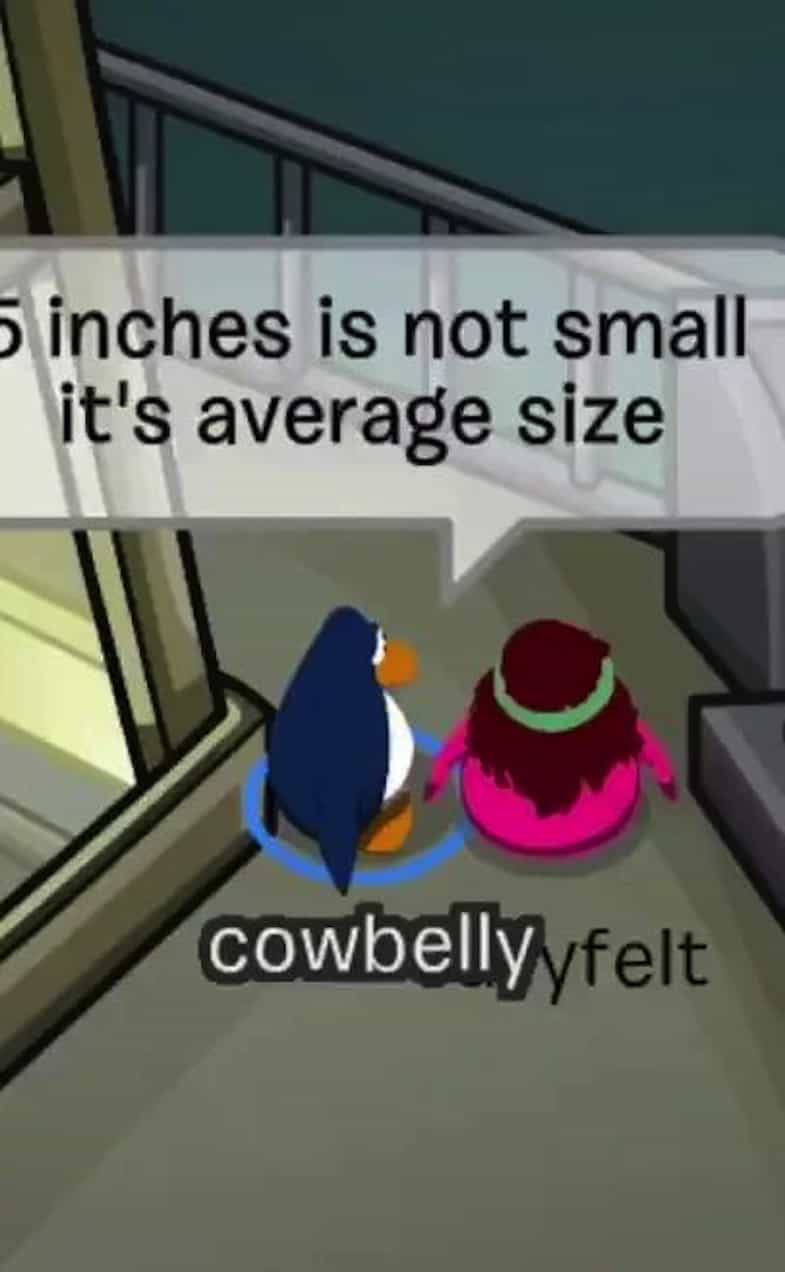 Club Penguine Memes 10