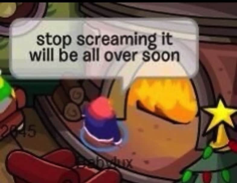 Club Penguine Memes 16 Club Penguine Memes 16