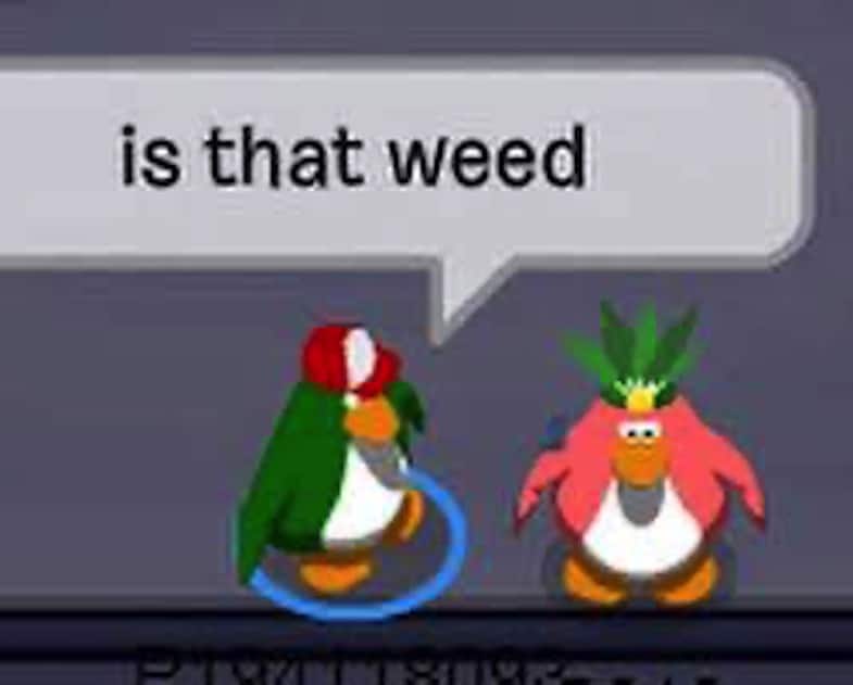 Club Penguine Memes 20 Club Penguine Memes 20