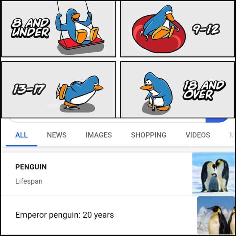 Club Penguine Memes 21 Club Penguine Memes 21