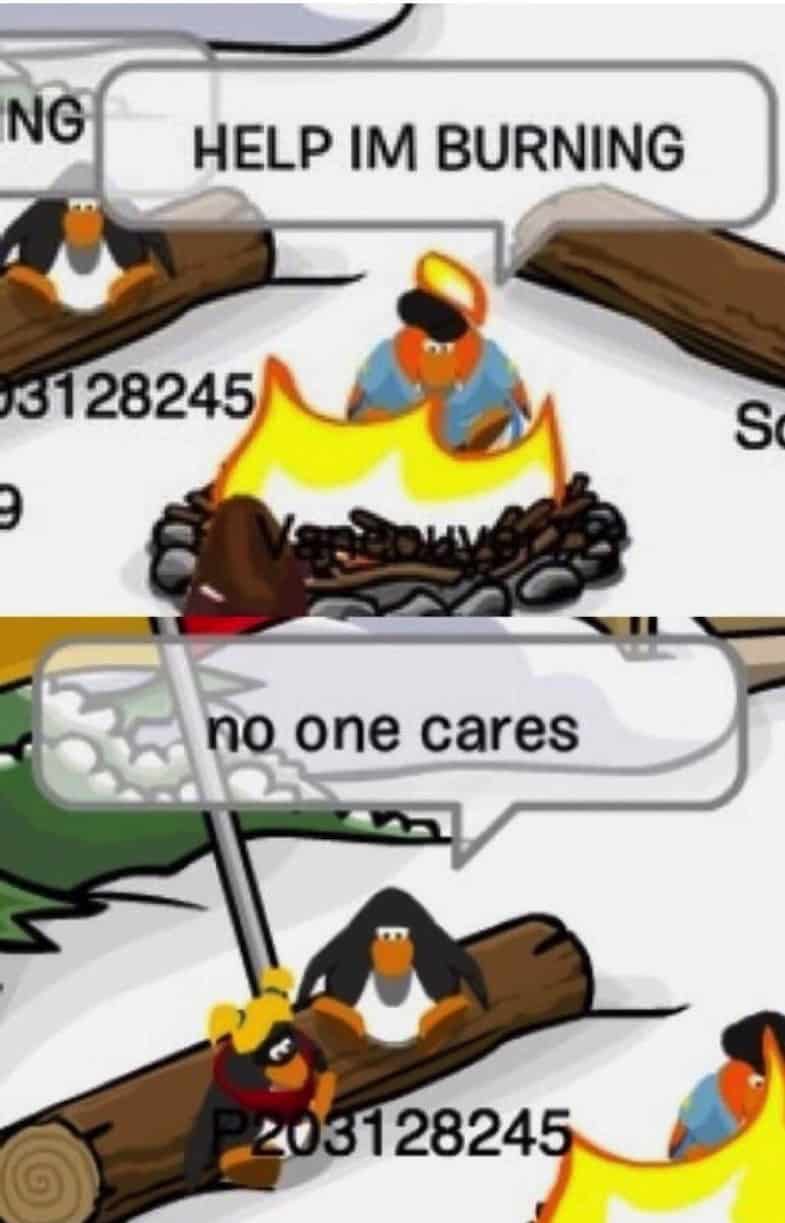 Club Penguine Memes 23 Club Penguine Memes 23
