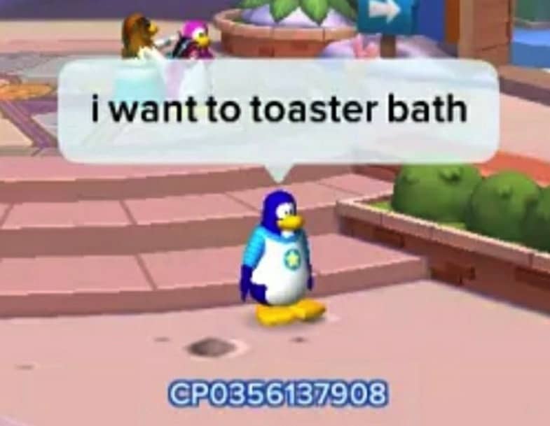 Club Penguine Memes 7