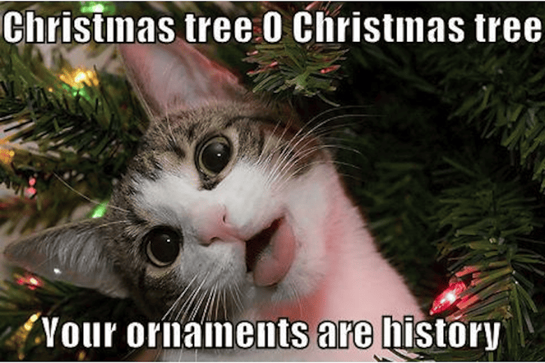 Holiday Meme 9