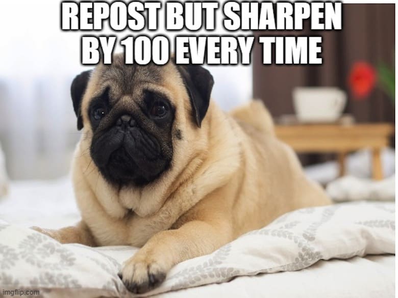 Pug Memes 7 Pug Memes 7