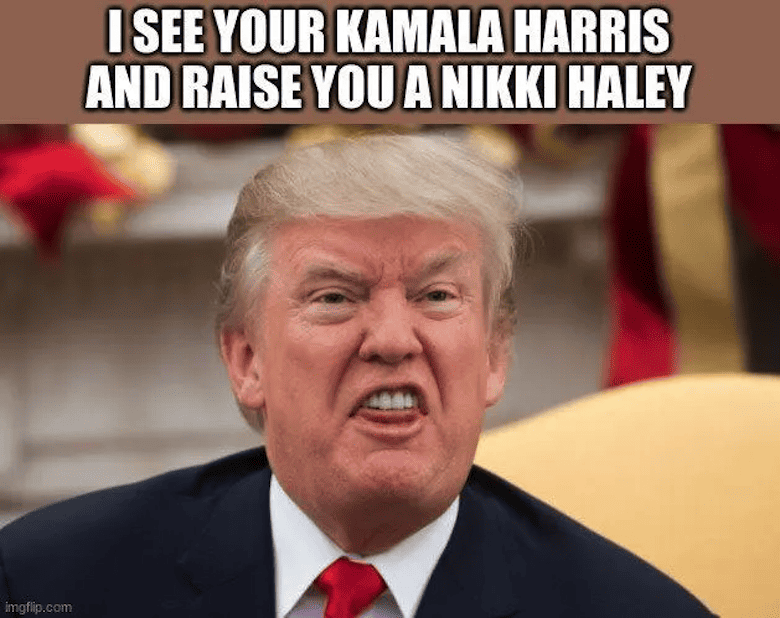 Kamala Harris Memes 15