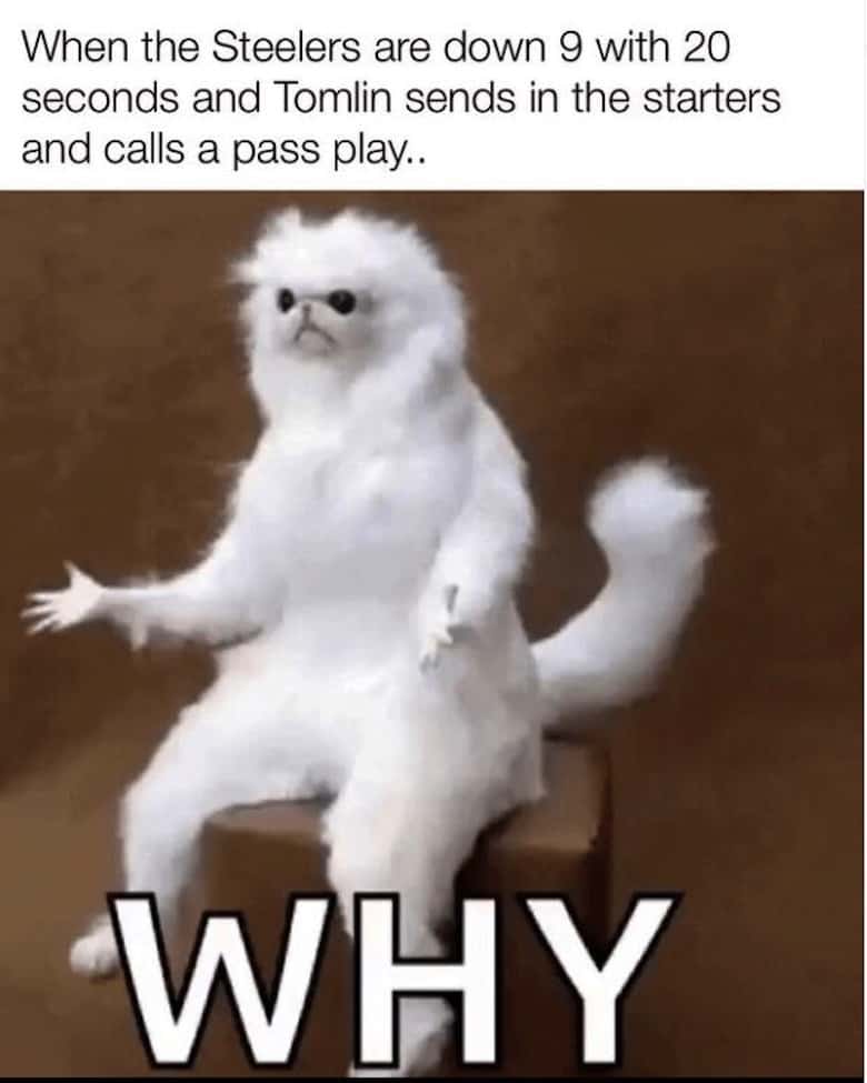 Steelers Memes 11