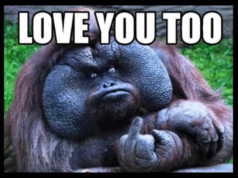 Love Reaction Meme 14