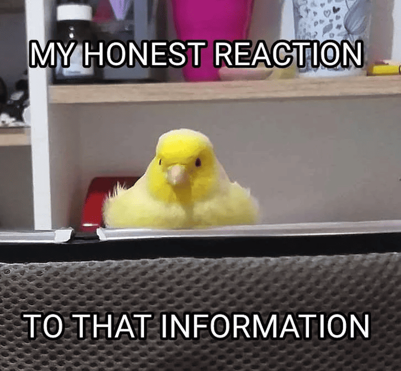 Love Reaction Meme 17