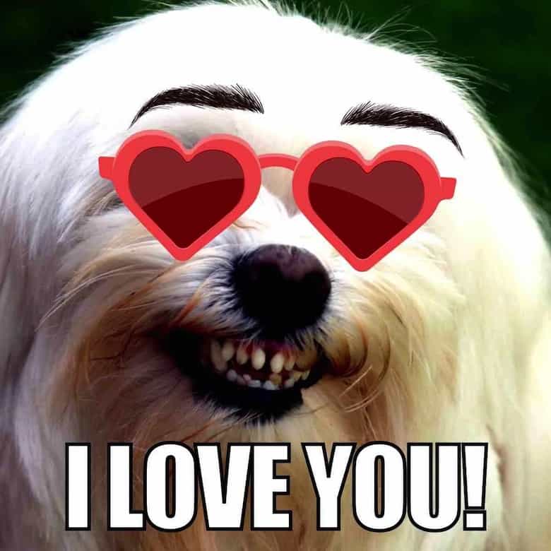 Love Reaction Meme 18