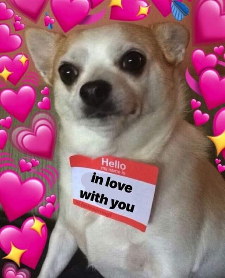 Love Reaction Meme 5