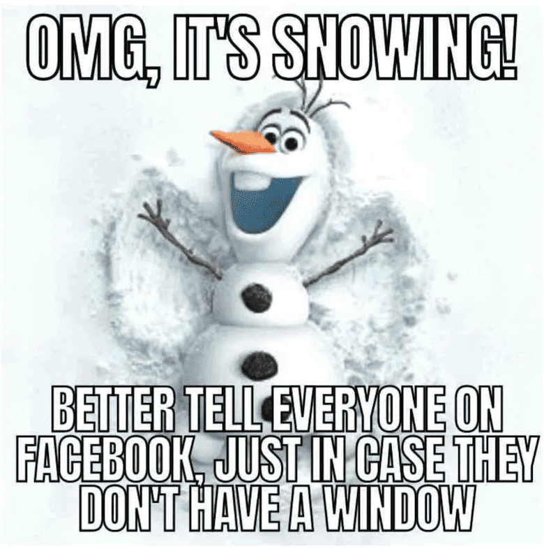 Snow Day Meme 1