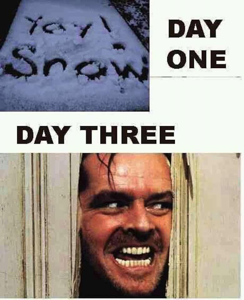 Snow Day Meme 2