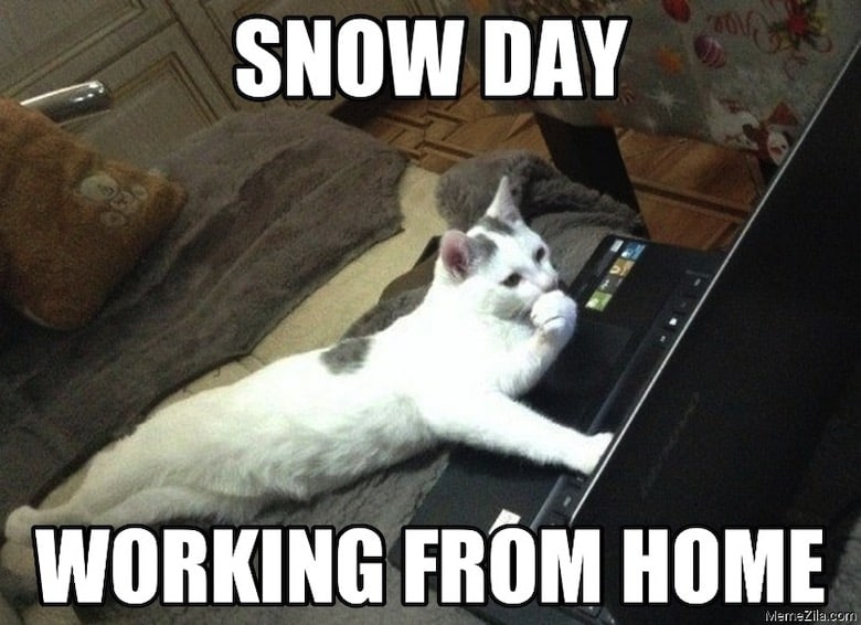 Snow Day Meme 22