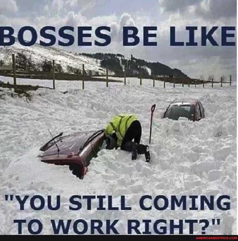 Snow Day Meme 27