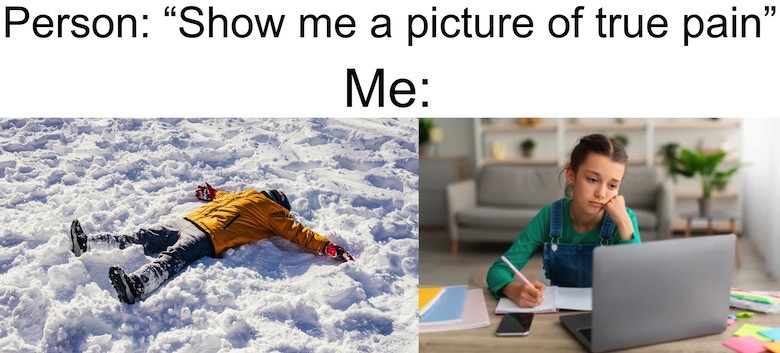 Snow Day Meme 6