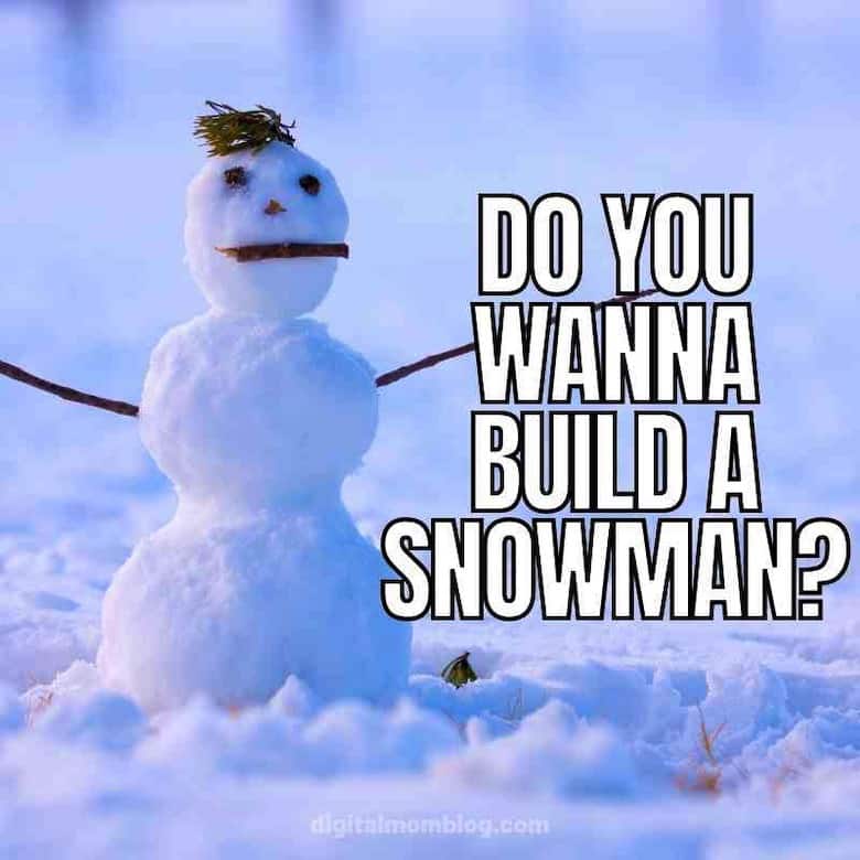 Snow Day Meme 9